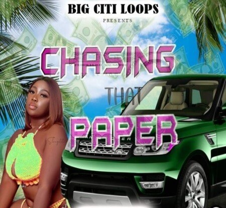 Diggy Loops Chasing That Paper 2 WAV